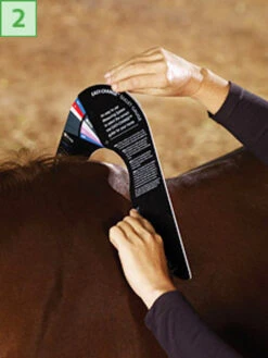 Bates/Wintec Easy Change Gullet Gauge 10 Bates/Wintec Easy Change Gullet Gauge -Marys Tack and Feed Store 2 gauge point 97724.1546903553