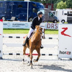 B Vertigo Tamina Show Coat 8 B Vertigo Tamina Show Coat -Marys Tack and Feed Store 33076 vdb bs 5 23351 88448.1560467558