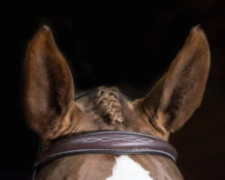 Pessoa PRO Fancy Stitched Tapered Bridle -Marys Tack and Feed Store 470462 pessoa pro fs taper bridl dk brn brow 75194.1669487591