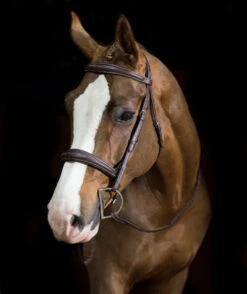 Pessoa PRO Fancy Stitched Tapered Bridle -Marys Tack and Feed Store 470462 pessoa pro fs taper bridl dk brn horse 81669.1669487583