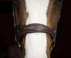 Pessoa PRO Fancy Stitched Tapered Bridle -Marys Tack and Feed Store 470462 pessoa pro fs taper bridl dk brn nose 53987.1669487588