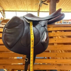 Used Antares Connexion Close Contact Monoflap Jump Saddle 17.5/M -Marys Tack and Feed Store 502 Flap Length 47315.1756164655