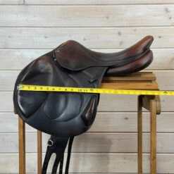 Used Antares Connexion Close Contact Monoflap Jump Saddle 17.5/M -Marys Tack and Feed Store 502 Flap Width 52614.1756164655