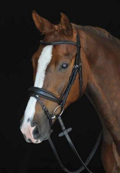 Collegiate Monocrown Wide Flash Bridle
