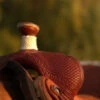 Circle Y Barton Select Rancher Saddle