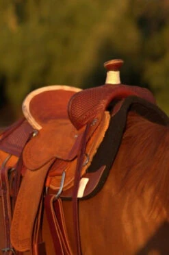 Circle Y Barton Select Rancher Saddle -Marys Tack and Feed Store Barton Ranch Right 36019.1600205566