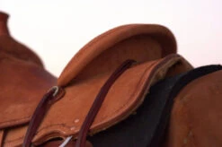 Circle Y Comal All Around Saddle -Marys Tack and Feed Store Comal All Around Skirt 42444.1600205963