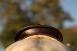 High Horse Daisetta Cordura Trail Saddle By Circle Y -Marys Tack and Feed Store Daisetta Cantle Rear 57003.1600204651