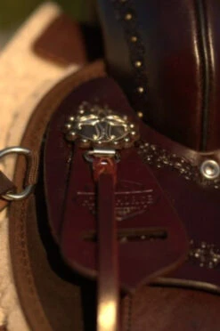 High Horse Daisetta Cordura Trail Saddle By Circle Y -Marys Tack and Feed Store Daisetta Concho 80022.1600204641