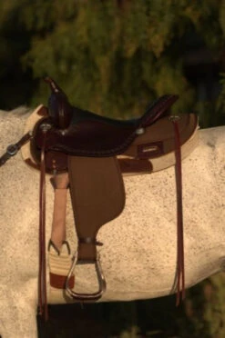 High Horse Daisetta Cordura Trail Saddle By Circle Y -Marys Tack and Feed Store Daisetta Left 05467.1600204671