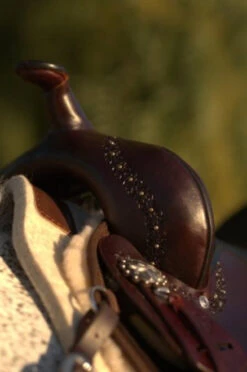 High Horse Daisetta Cordura Trail Saddle By Circle Y -Marys Tack and Feed Store Daisetta Pommel 14377.1600204630