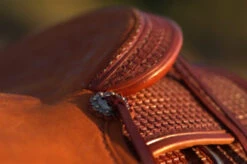 Circle Y Dodge Ranch Sorter Saddle -Marys Tack and Feed Store Dodge Ranch Sorter Concho 72552.1600205719