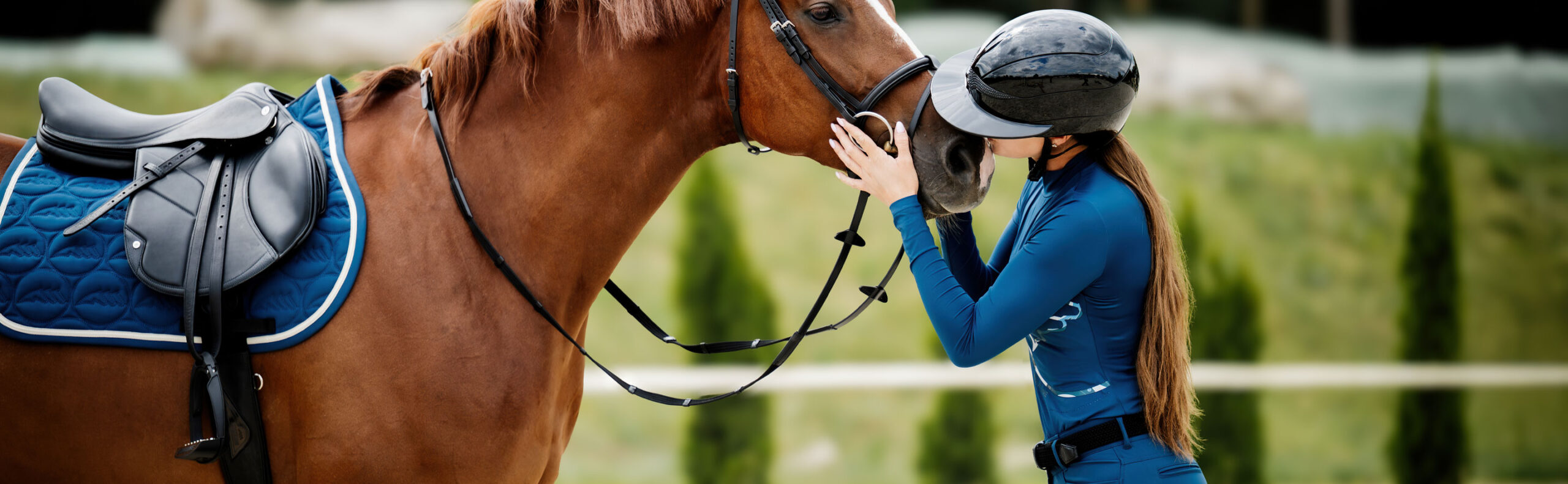 Marys Tack and Feed Store -Marys Tack and Feed Store EMAIL HEADER 11 scaled 1