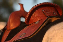 Circle Y Fischer Daisy Treeless Barrel Saddle -Marys Tack and Feed Store Fischer Treeless Rear Seat 85806.1600204907