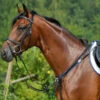 Stubben Wide Elastic Breastplate With Running Attachment -Marys Tack and Feed Store STU 10704 ElasticRunningBreastplate 88586.1558039998