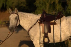 Circle Y Salt River Flex2 Trail Saddle 1667 -Marys Tack and Feed Store Salt River Left Profile on a horse 71261.1600203852