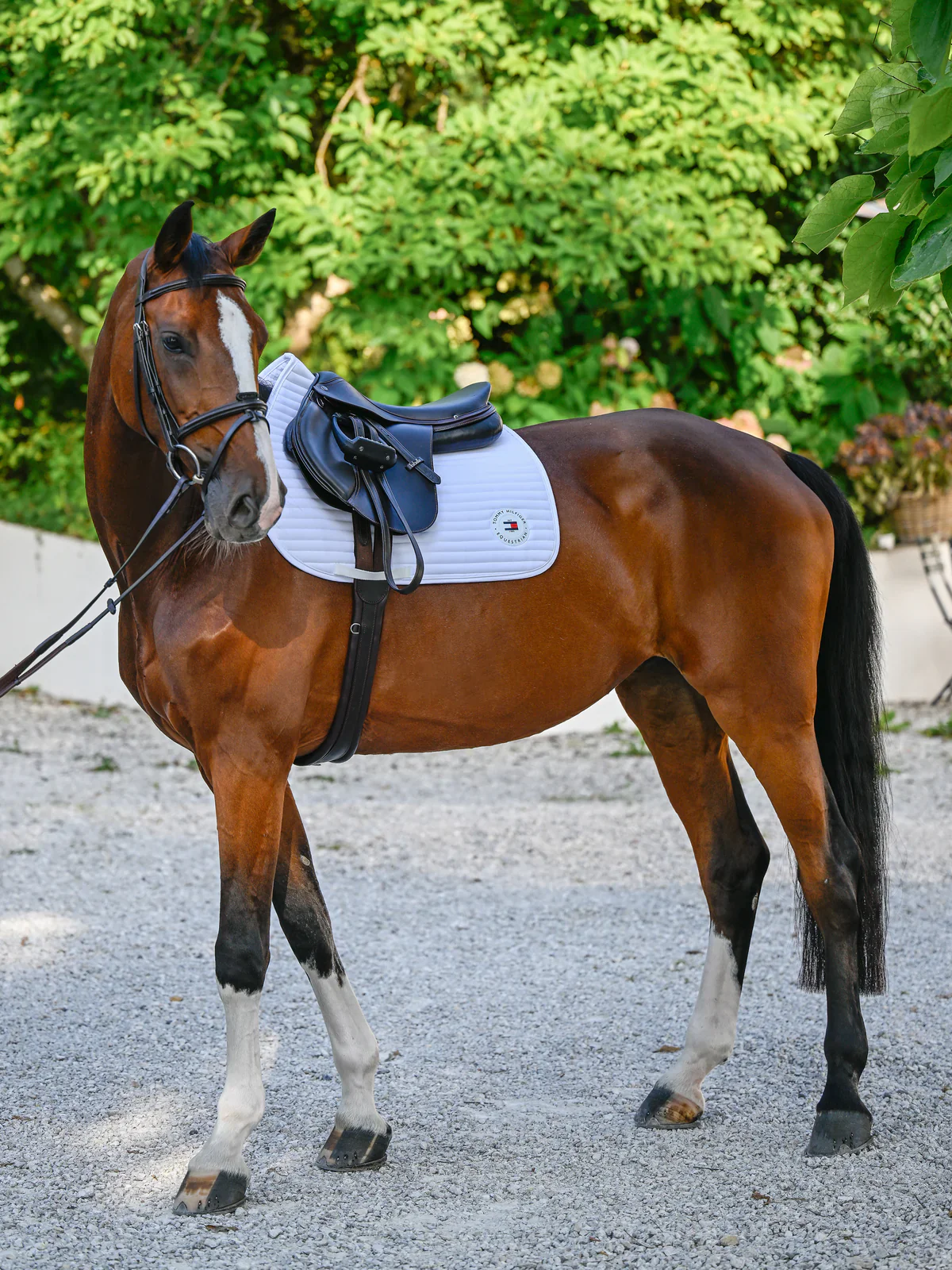 Marys Tack and Feed Store -Marys Tack and Feed Store TH16HSAP071 001 02 791385b6 436d 4fa1 a307 c58e58d853dc