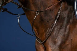 Dy'on Running Martingale 5 Dy'on Running Martingale -Marys Tack and Feed Store US07g martingale a anneaux brun full us collection 2 24947.1676323008