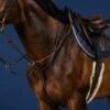 Dy'on Running Martingale -Marys Tack and Feed Store US07g martingale a anneaux brun full us collection 3 00550.1676322952