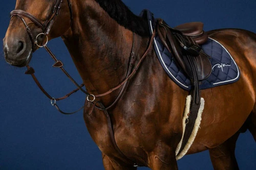 Dy'on Running Martingale 3 Dy'on Running Martingale