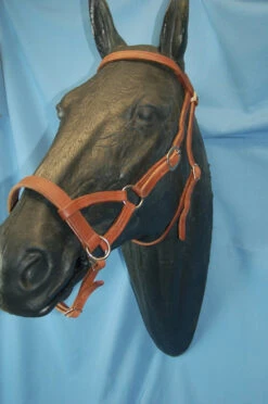 Buckaroo Leather Flat Nose Sidepull 16 Buckaroo Leather Flat Nose Sidepull -Marys Tack and Feed Store aaaaaaavbhimage1 39395 02365.1527296610