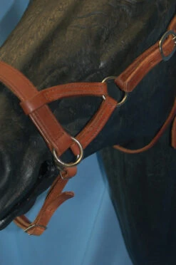Buckaroo Leather Flat Nose Sidepull 19 Buckaroo Leather Flat Nose Sidepull -Marys Tack and Feed Store aaaaaaavbhimage2 13691 48892.1527296610