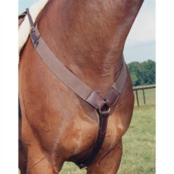 Nunn Finer All Purpose Elastic Breastplate -Marys Tack and Feed Store all purpose elastic breastplate havana nunn finer 45483.1587246212