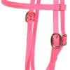 Berlin Beta Biothane Browband Headstall -Marys Tack and Feed Store apizavu2g 63387 56161.1527297811