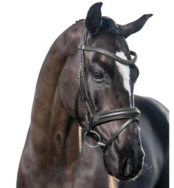 LeMieux Arika Dressage Snaffle Bridle -Marys Tack and Feed Store arika snaffle bridle black horse IT03740 lemieux 95114.1690232855