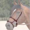 Dy'on Double Noseband 1 Dy'on Double Noseband -Marys Tack and Feed Store b6117 60041 71485.1527288351
