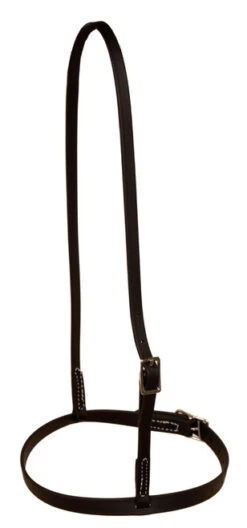 Berlin Beta Biothane Flat Cavesson