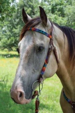 Circle Y Vibrant Infinity Beaded Brow Headstall