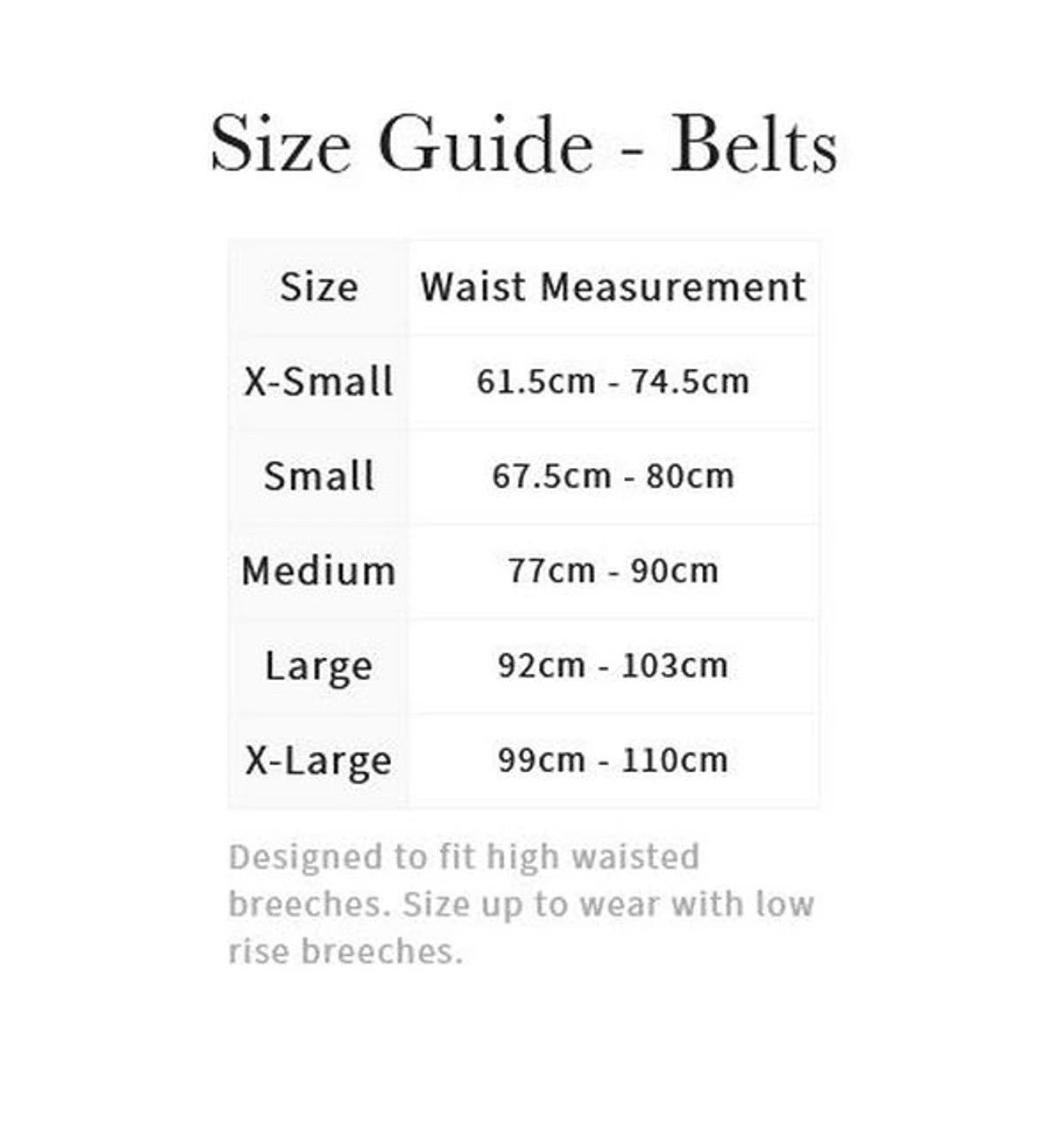LeMieux Crystal Insert Belt 10 LeMieux Crystal Insert Belt - Image 8