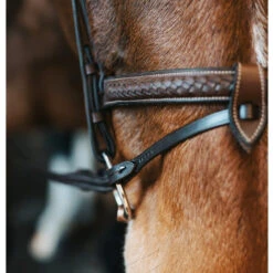 Fager Bit Lifter Flash -Marys Tack and Feed Store bit lifter black front lift action fager 37641.1754683828