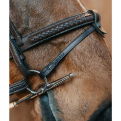 Fager Bit Lifter Flash -Marys Tack and Feed Store bit lifter black in use full cheek hook end fager 01183.1754683793