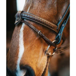 Fager Bit Lifter Flash