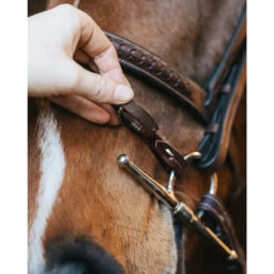 Fager Bit Lifter Flash -Marys Tack and Feed Store bit lifter brown in use full cheek adjust fager 23185.1754683793