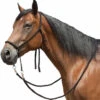 Tory Leather Bitless Poly Bridle With Reins -Marys Tack and Feed Store bitless bridle 1 34998 30178.1527298889