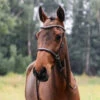 Jump'In Bitless Bridle -Marys Tack and Feed Store bitless bridle hazelnut horse jump in 22236.1736206118