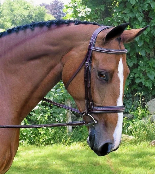 Black Oak Laurel Wide Fancy Stitch Hunter Bridle 4 Black Oak Laurel Wide Fancy Stitch Hunter Bridle - Image 2