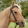 Circle Y Bluestem QC Brow Headstall -Marys Tack and Feed Store bluestem qc brow headstall palomino 1040 10 ST circle y 67625.1691199812