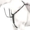 Equipe Y Shaped Adjustable Breastplate -Marys Tack and Feed Store bp20ybreastplateblack 83717 05114.1527300193