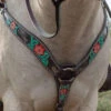 Circle Y Cactus Flower Breast Collar 2 Circle Y Cactus Flower Breast Collar -Marys Tack and Feed Store cactus flower breast collar horse 1000 23 SC circle y 73083.1613591811