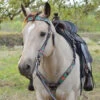 Circle Y Cactus Flower Brow Headstall 2 Circle Y Cactus Flower Brow Headstall -Marys Tack and Feed Store cactus flower tack set circle y 81365.1613592808