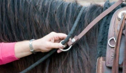 BOOMA Rein Safety Rein -Marys Tack and Feed Store carabineroring 36921 23822.1527296832