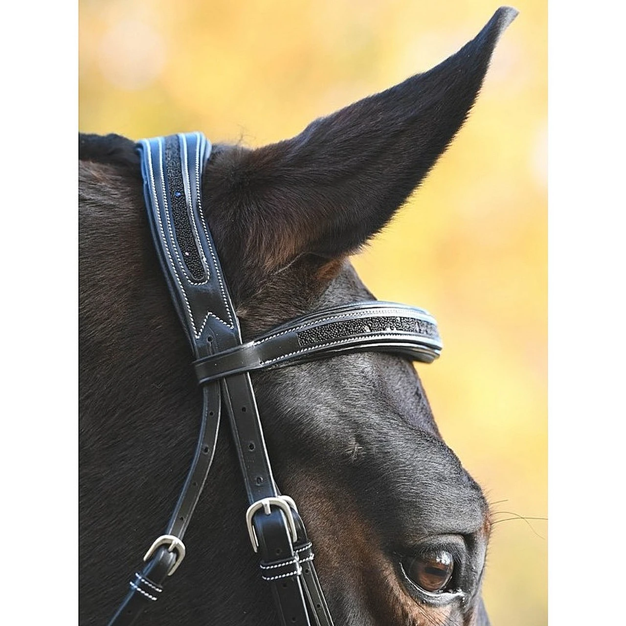 Jump'In Carat Bridle 9 Jump'In Carat Bridle - Image 7