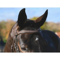 Jump'In Carat Bridle 17 Jump'In Carat Bridle -Marys Tack and Feed Store carat bridle brown browband jump in 06125.1734633032