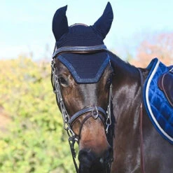 Jump'In Carat Bridle 22 Jump'In Carat Bridle -Marys Tack and Feed Store carat bridle havana blue main jump in 64633.1734633707