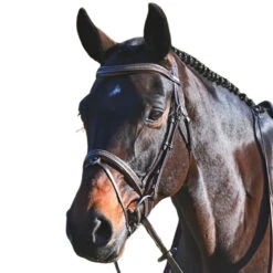 Jump'In Carat Bridle