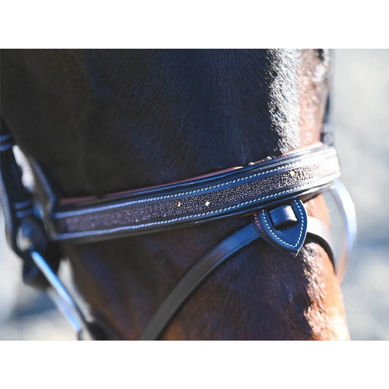 Jump'In Carat Bridle 6 Jump'In Carat Bridle - Image 4
